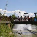 Las Caratas Salvajes