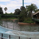 Stanley Falls