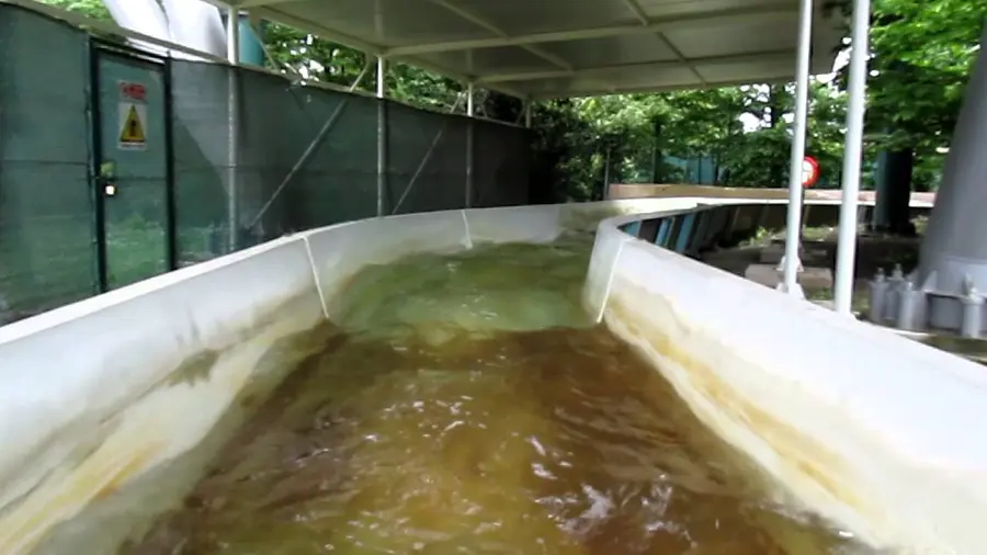 Video di questa corsa