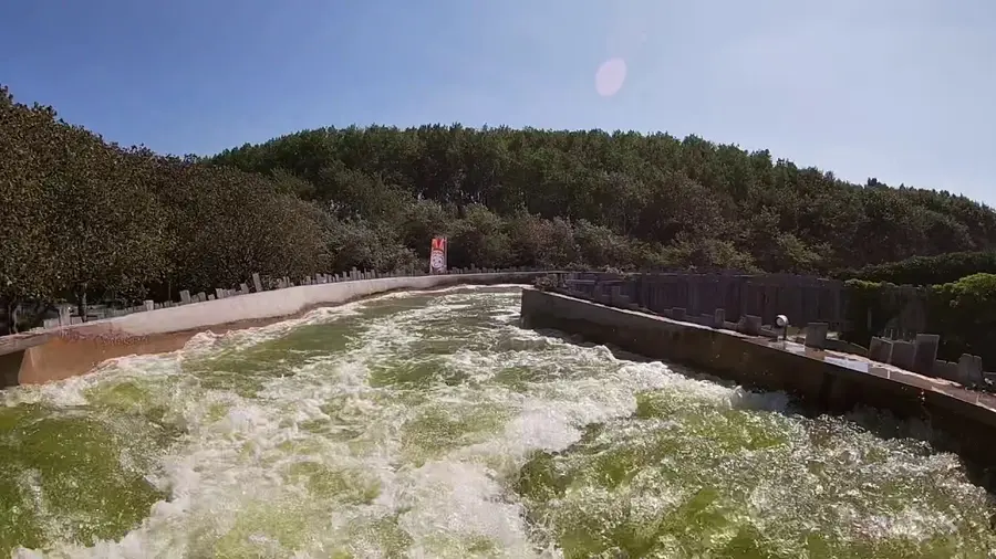 Video di questa corsa