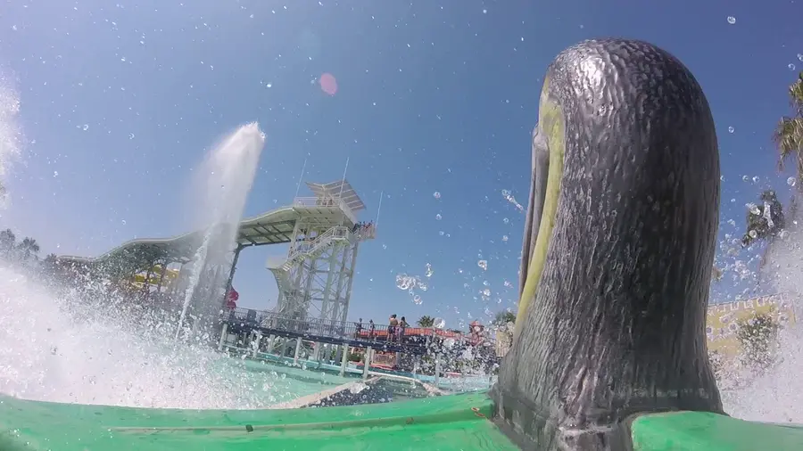 Video di questa corsa