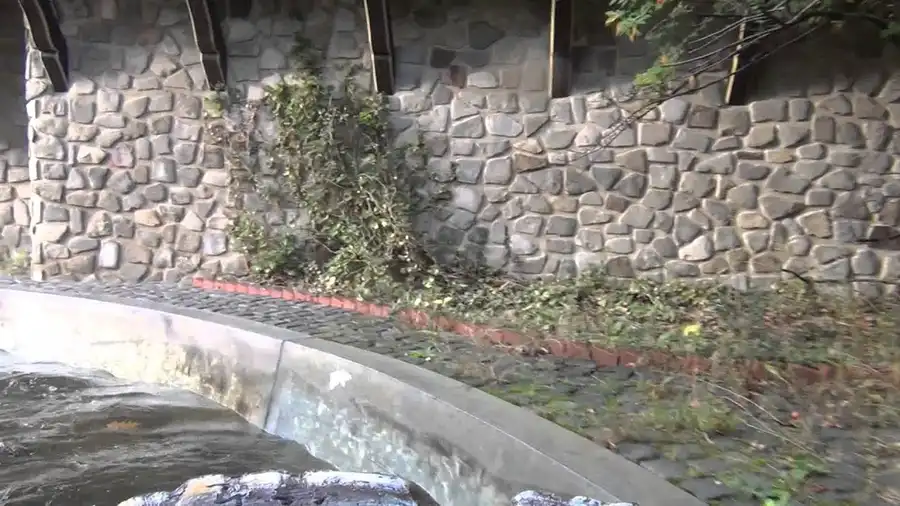 Video di questa corsa