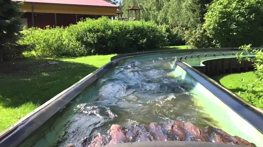 Video di questa corsa