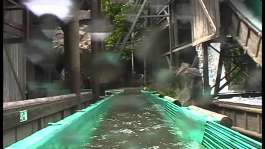 Video di questa corsa