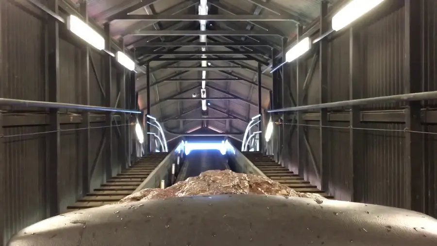 Video di questa corsa