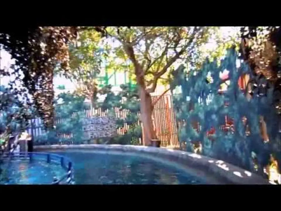 Video di questa corsa
