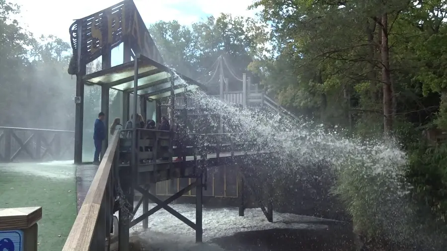 Video di questa corsa