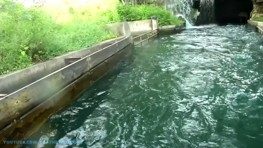 Video di questa corsa